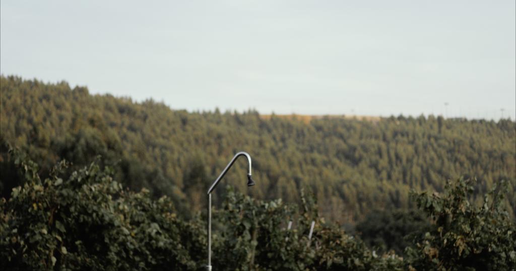 Quinta De Lourosa Pensionat Lousada Exteriör bild
