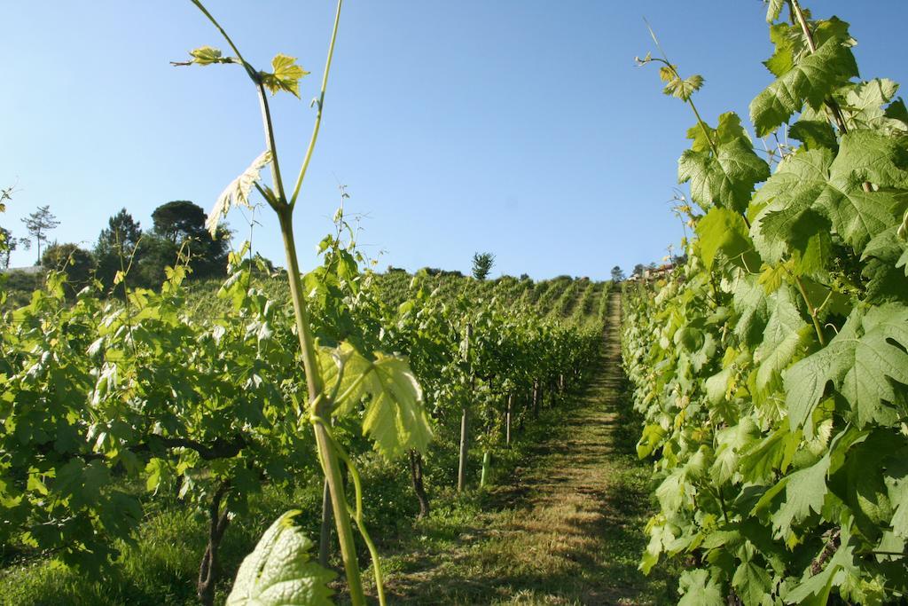 Quinta De Lourosa Pensionat Lousada Exteriör bild