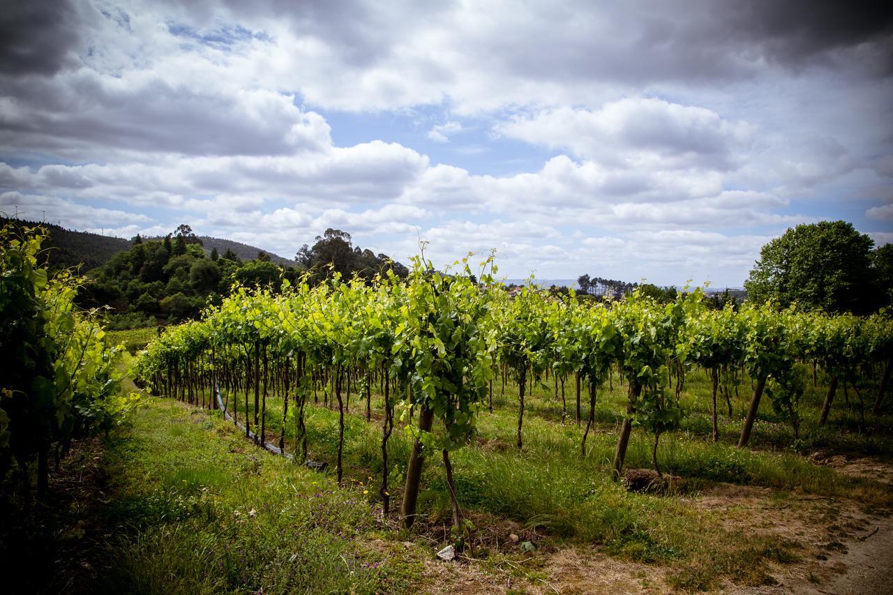 Quinta De Lourosa Pensionat Lousada Exteriör bild