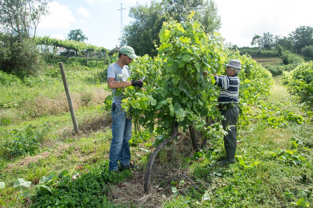 Quinta De Lourosa Pensionat Lousada Exteriör bild